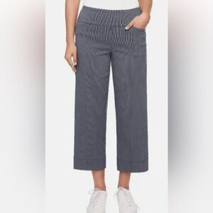 S. C. & Co. Wide Leg Cropped Pants in Navy Pinstripe, size XL